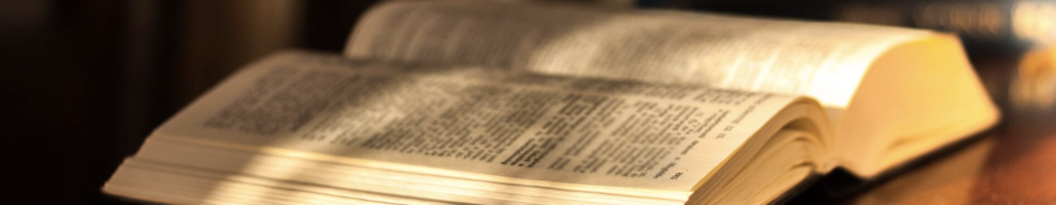 Image of an open book